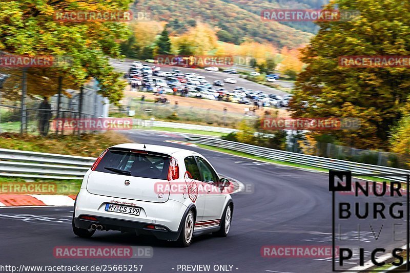 Bild #25665257 - Touristenfahrten Nürburgring Nordschleife (01.11.2023)