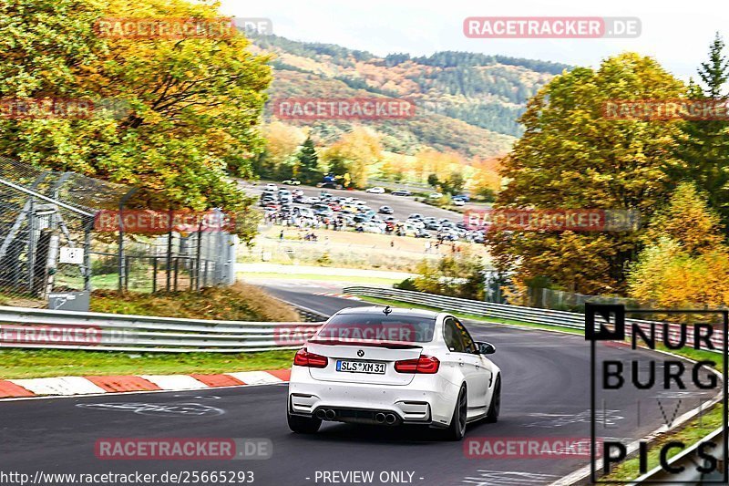 Bild #25665293 - Touristenfahrten Nürburgring Nordschleife (01.11.2023)