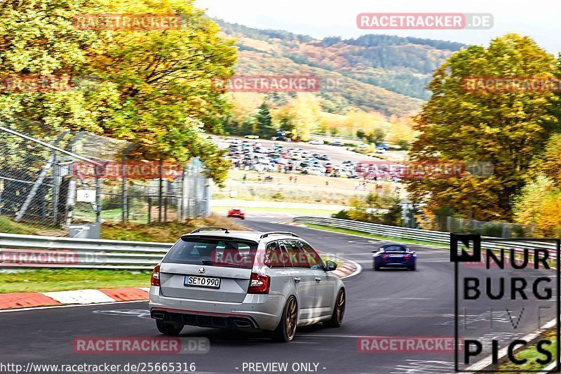 Bild #25665316 - Touristenfahrten Nürburgring Nordschleife (01.11.2023)