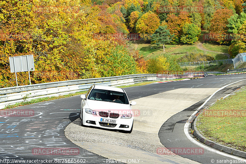 Bild #25665602 - Touristenfahrten Nürburgring Nordschleife (01.11.2023)