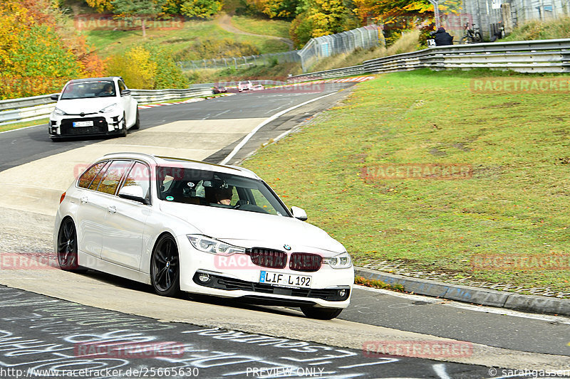 Bild #25665630 - Touristenfahrten Nürburgring Nordschleife (01.11.2023)