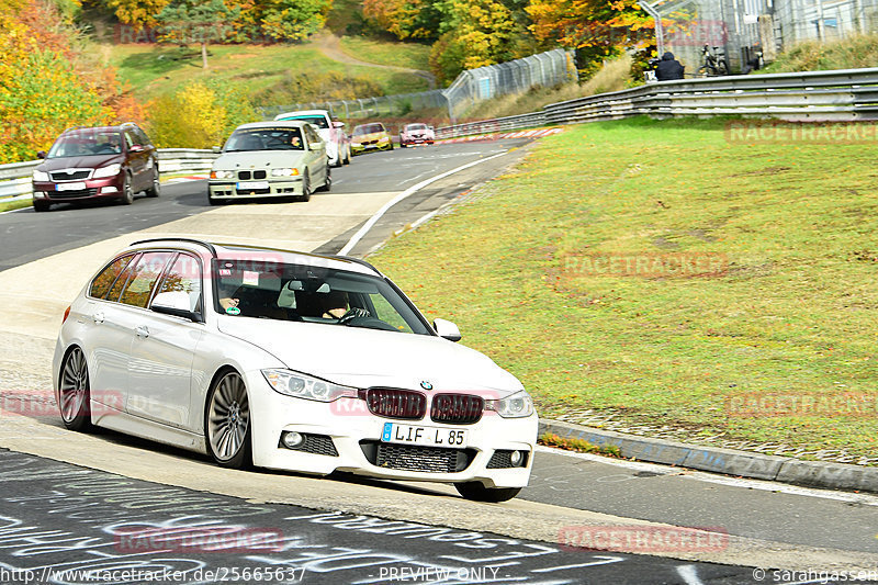 Bild #25665637 - Touristenfahrten Nürburgring Nordschleife (01.11.2023)