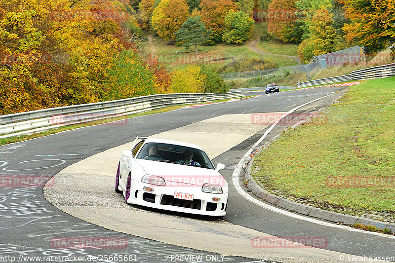 Bild #25665681 - Touristenfahrten Nürburgring Nordschleife (01.11.2023)