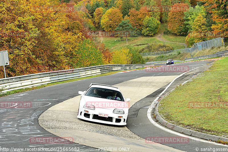 Bild #25665682 - Touristenfahrten Nürburgring Nordschleife (01.11.2023)