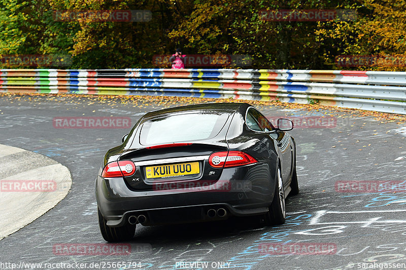 Bild #25665794 - Touristenfahrten Nürburgring Nordschleife (01.11.2023)