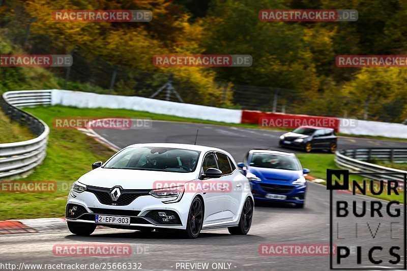 Bild #25666332 - Touristenfahrten Nürburgring Nordschleife (01.11.2023)