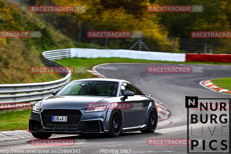 Bild #25666345 - Touristenfahrten Nürburgring Nordschleife (01.11.2023)