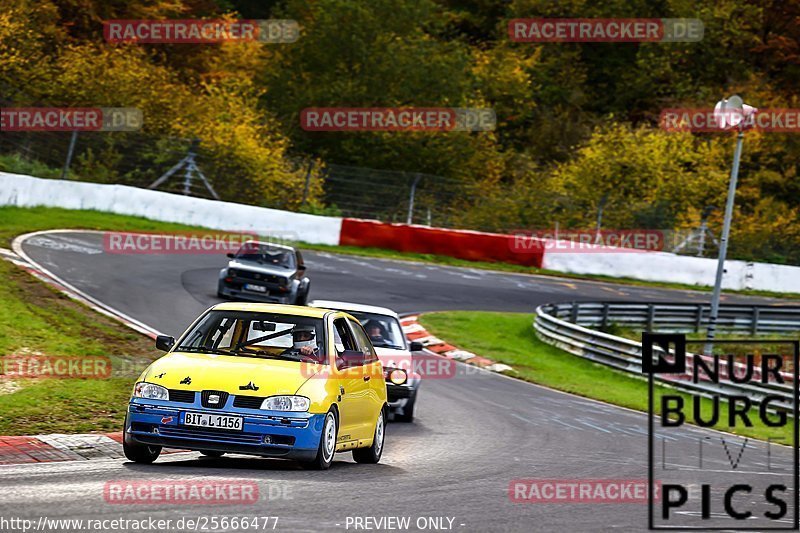 Bild #25666477 - Touristenfahrten Nürburgring Nordschleife (01.11.2023)