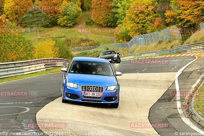 Bild #25666751 - Touristenfahrten Nürburgring Nordschleife (01.11.2023)