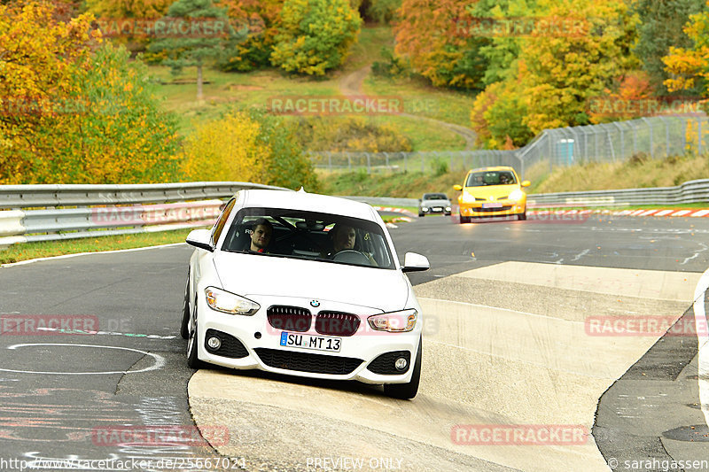 Bild #25667021 - Touristenfahrten Nürburgring Nordschleife (01.11.2023)