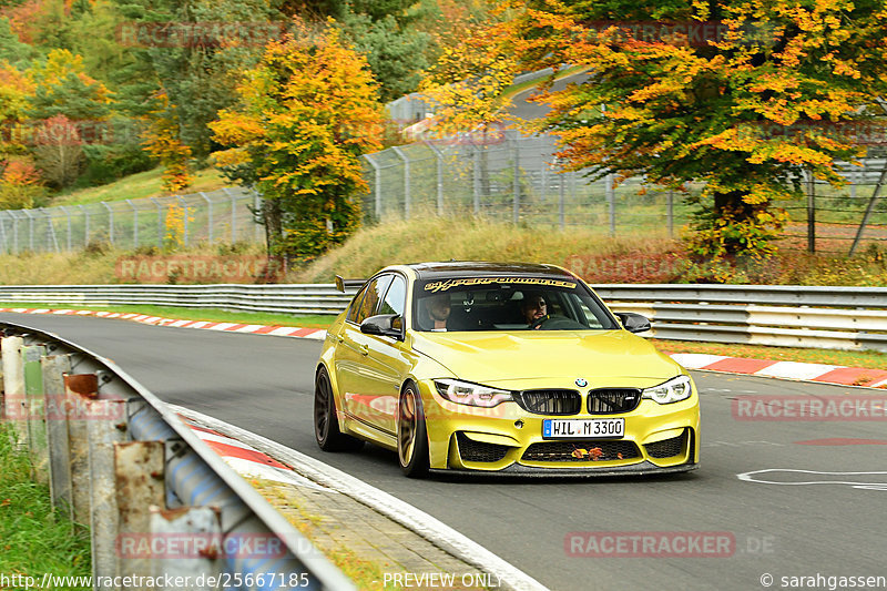 Bild #25667185 - Touristenfahrten Nürburgring Nordschleife (01.11.2023)