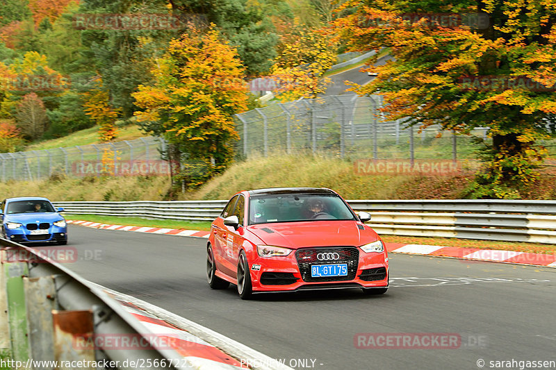 Bild #25667223 - Touristenfahrten Nürburgring Nordschleife (01.11.2023)