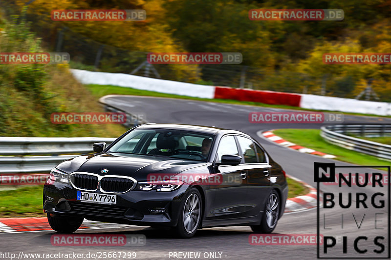 Bild #25667299 - Touristenfahrten Nürburgring Nordschleife (01.11.2023)