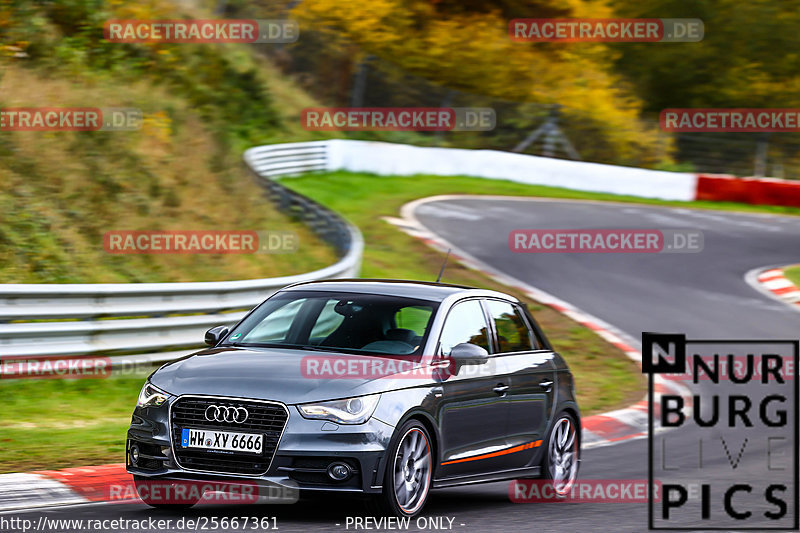 Bild #25667361 - Touristenfahrten Nürburgring Nordschleife (01.11.2023)