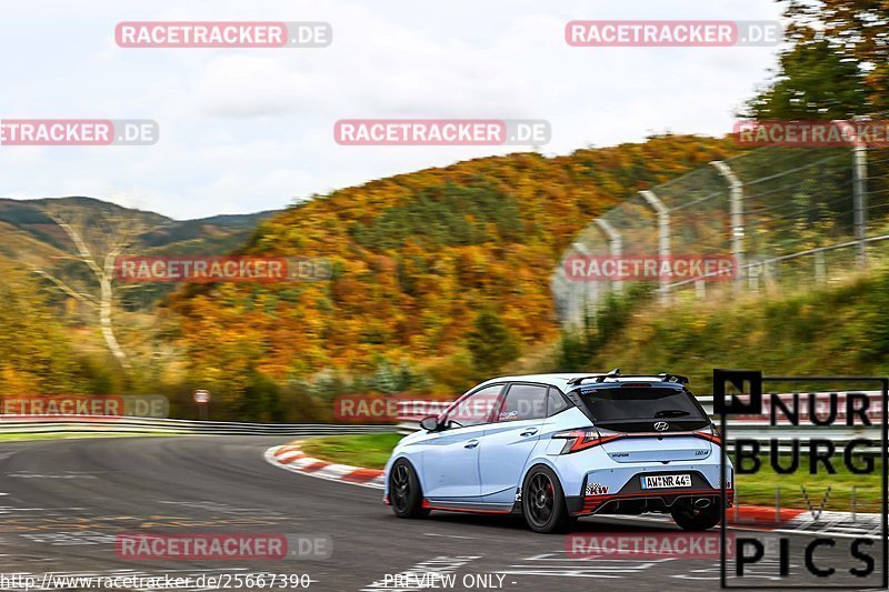 Bild #25667390 - Touristenfahrten Nürburgring Nordschleife (01.11.2023)