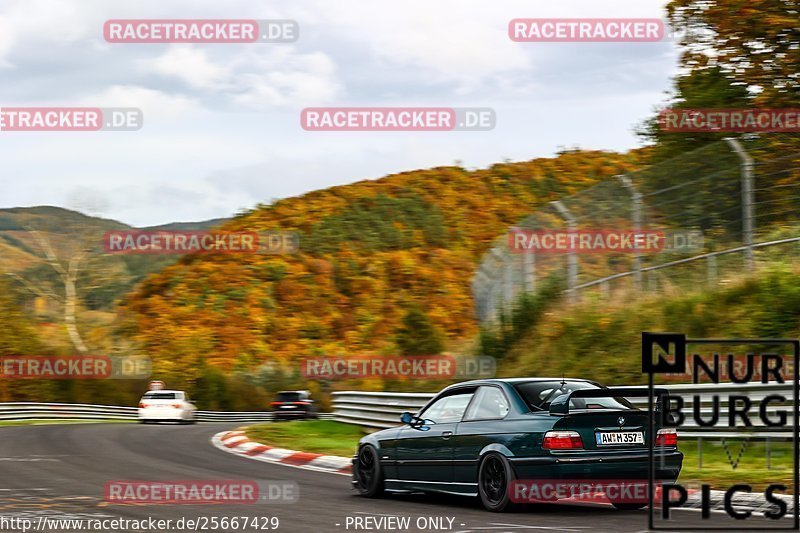 Bild #25667429 - Touristenfahrten Nürburgring Nordschleife (01.11.2023)