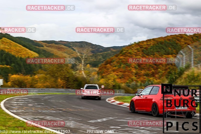 Bild #25667507 - Touristenfahrten Nürburgring Nordschleife (01.11.2023)