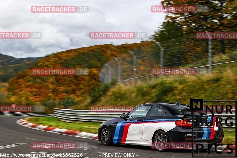 Bild #25667526 - Touristenfahrten Nürburgring Nordschleife (01.11.2023)