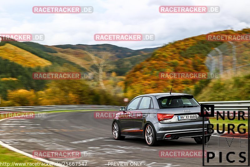 Bild #25667547 - Touristenfahrten Nürburgring Nordschleife (01.11.2023)