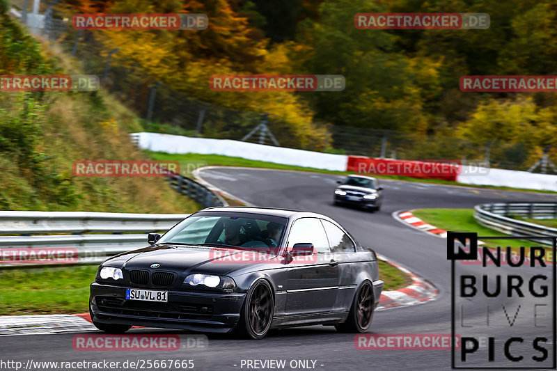 Bild #25667665 - Touristenfahrten Nürburgring Nordschleife (01.11.2023)