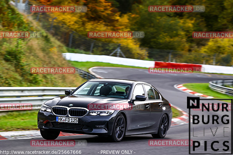 Bild #25667666 - Touristenfahrten Nürburgring Nordschleife (01.11.2023)