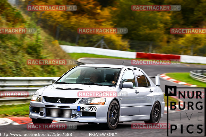 Bild #25667688 - Touristenfahrten Nürburgring Nordschleife (01.11.2023)