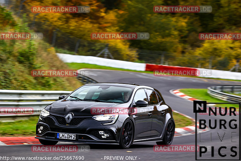 Bild #25667690 - Touristenfahrten Nürburgring Nordschleife (01.11.2023)