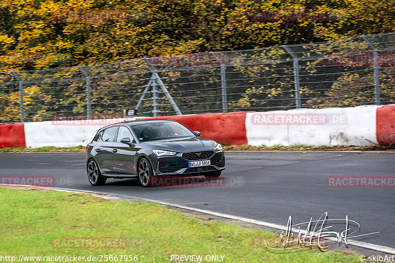 Bild #25667956 - Touristenfahrten Nürburgring Nordschleife (01.11.2023)