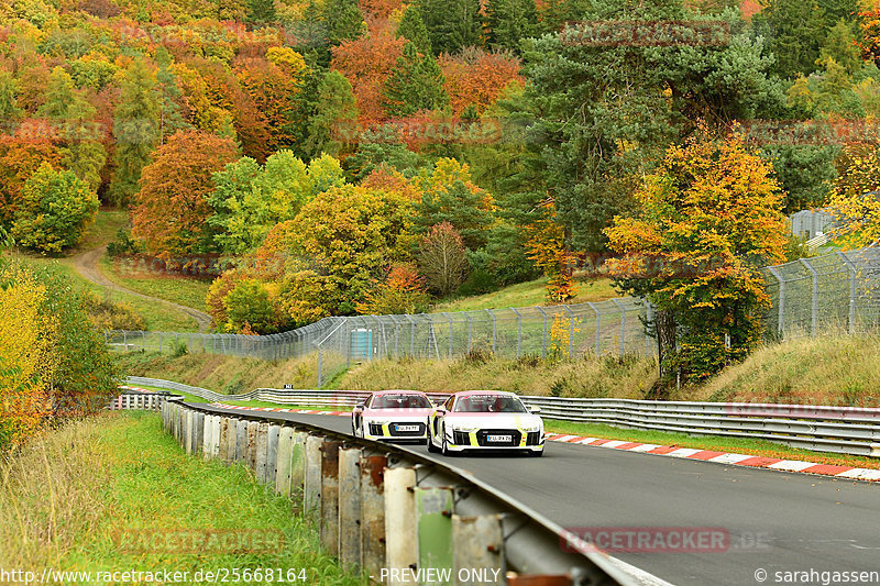 Bild #25668164 - Touristenfahrten Nürburgring Nordschleife (01.11.2023)