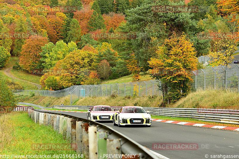 Bild #25668168 - Touristenfahrten Nürburgring Nordschleife (01.11.2023)