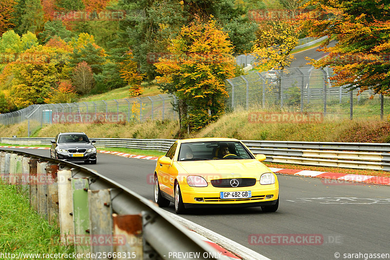 Bild #25668315 - Touristenfahrten Nürburgring Nordschleife (01.11.2023)