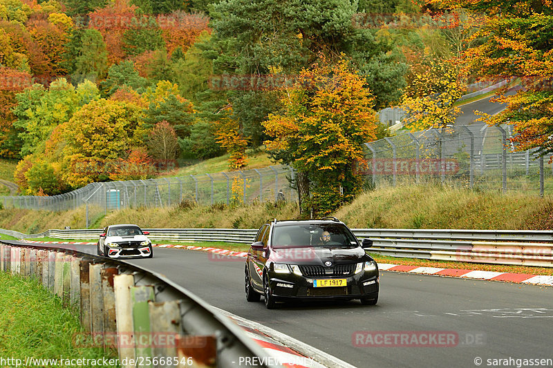 Bild #25668546 - Touristenfahrten Nürburgring Nordschleife (01.11.2023)