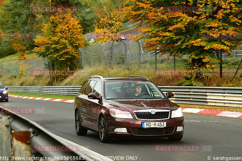 Bild #25668685 - Touristenfahrten Nürburgring Nordschleife (01.11.2023)