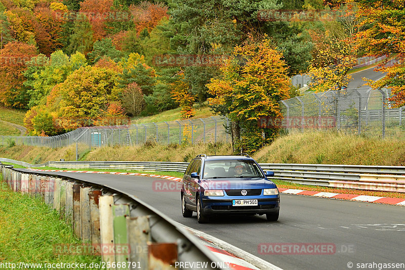 Bild #25668791 - Touristenfahrten Nürburgring Nordschleife (01.11.2023)