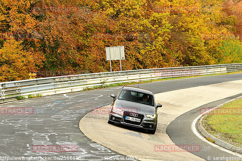 Bild #25668890 - Touristenfahrten Nürburgring Nordschleife (01.11.2023)