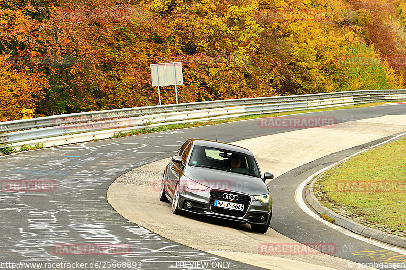 Bild #25668893 - Touristenfahrten Nürburgring Nordschleife (01.11.2023)