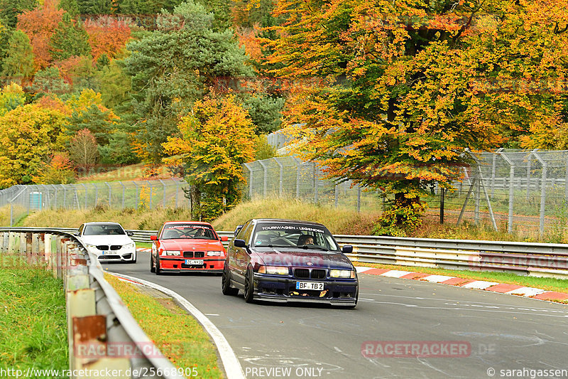 Bild #25668905 - Touristenfahrten Nürburgring Nordschleife (01.11.2023)