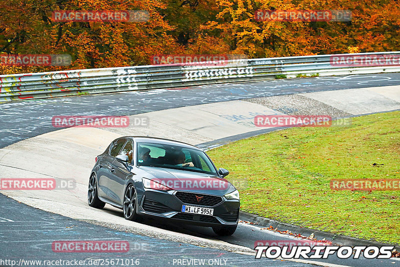 Bild #25671016 - Touristenfahrten Nürburgring Nordschleife (01.11.2023)