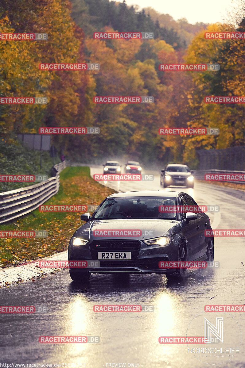 Bild #25699773 - Touristenfahrten Nürburgring Nordschleife (05.11.2023)