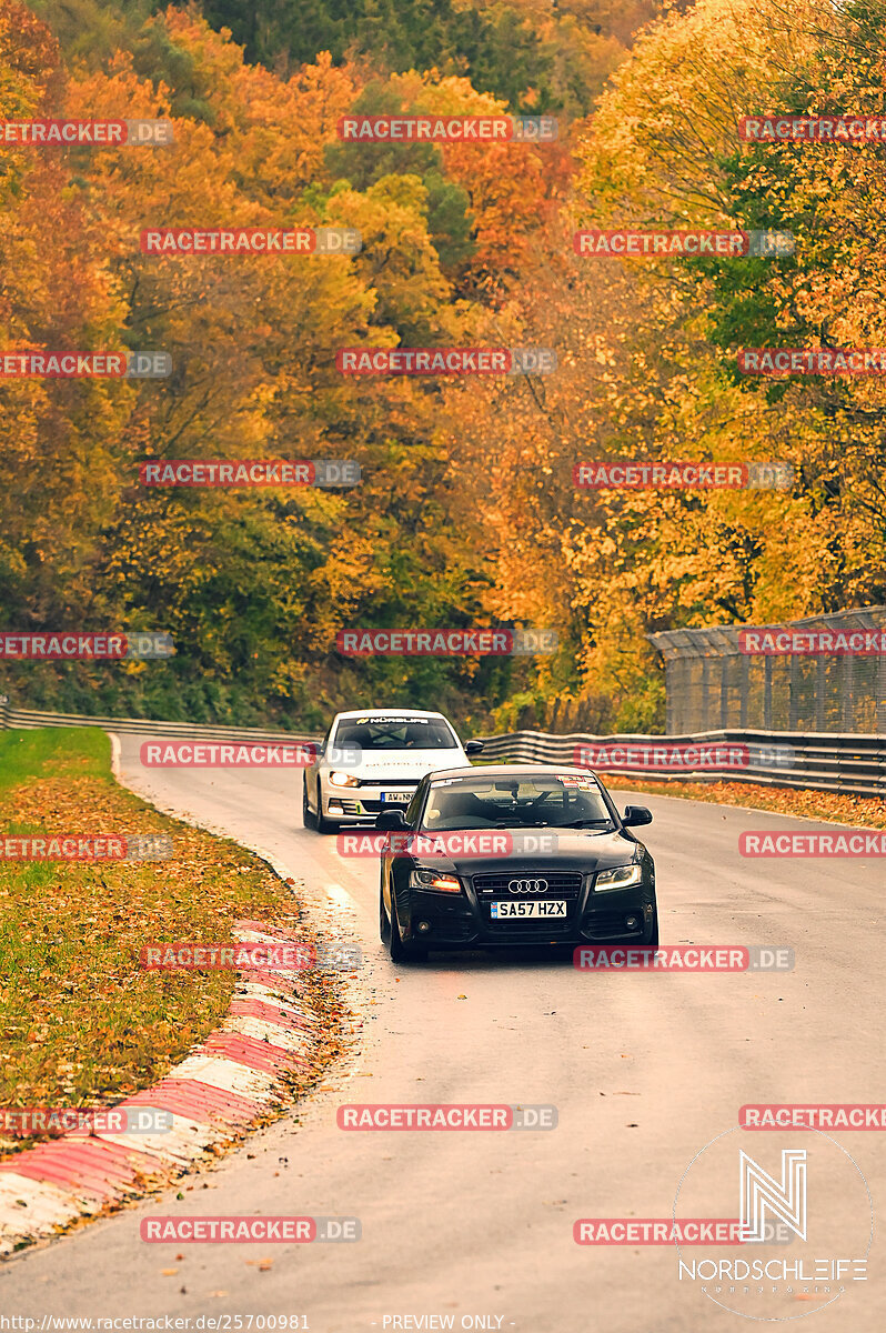 Bild #25700981 - Touristenfahrten Nürburgring Nordschleife (05.11.2023)