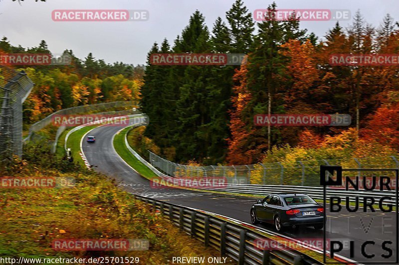 Bild #25701529 - Touristenfahrten Nürburgring Nordschleife (05.11.2023)