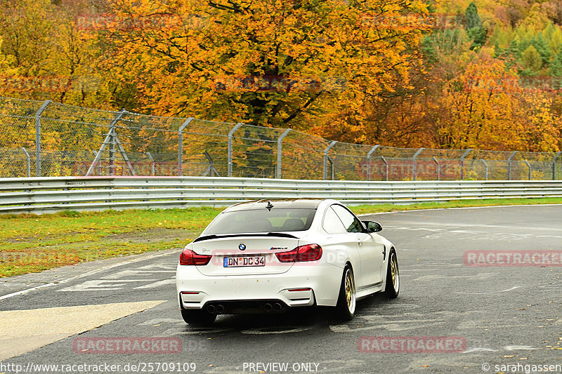 Bild #25709109 - Touristenfahrten Nürburgring Nordschleife (05.11.2023)