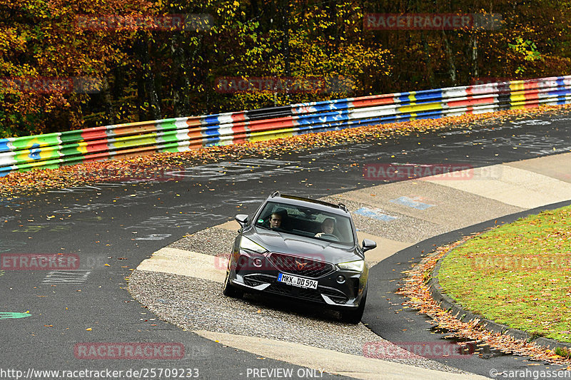 Bild #25709233 - Touristenfahrten Nürburgring Nordschleife (05.11.2023)