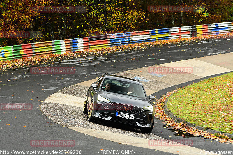 Bild #25709236 - Touristenfahrten Nürburgring Nordschleife (05.11.2023)