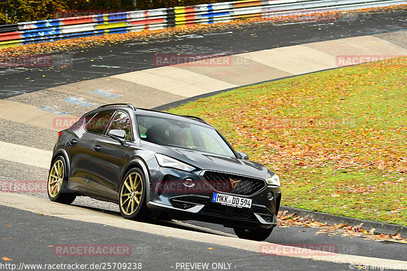 Bild #25709238 - Touristenfahrten Nürburgring Nordschleife (05.11.2023)