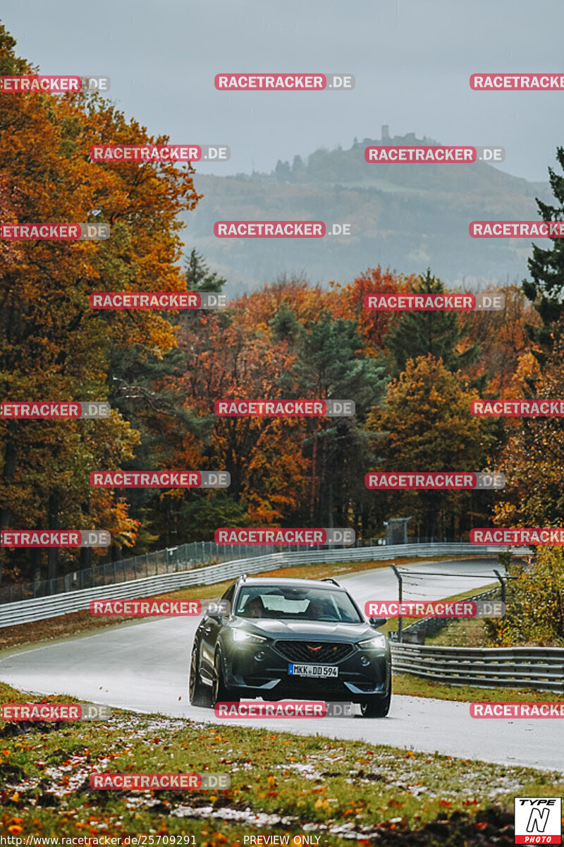 Bild #25709291 - Touristenfahrten Nürburgring Nordschleife (05.11.2023)