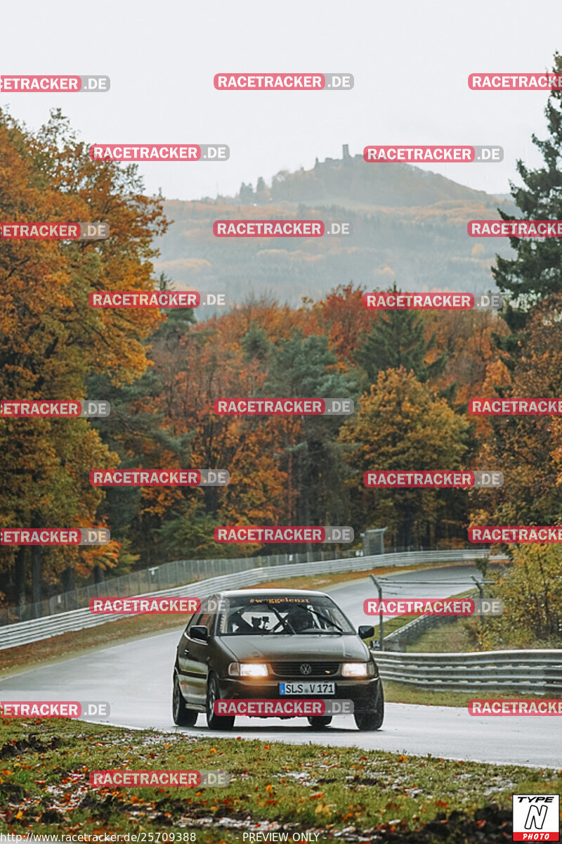 Bild #25709388 - Touristenfahrten Nürburgring Nordschleife (05.11.2023)