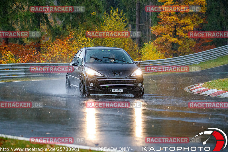 Bild #25730961 - Touristenfahrten Nürburgring Nordschleife (11.11.2023)