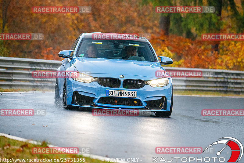 Bild #25731355 - Touristenfahrten Nürburgring Nordschleife (11.11.2023)