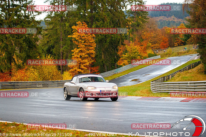 Bild #25731509 - Touristenfahrten Nürburgring Nordschleife (11.11.2023)